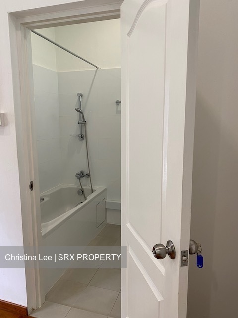 Raffles Park (D11), Detached #581398801